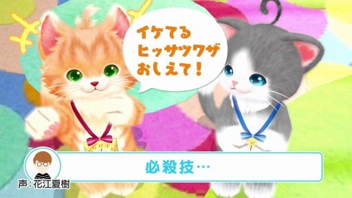 ꡼ No.001 | ֥ͥȥ ޥޤޤפȥͥ襤Ÿ in ʥ󥸥㥿ɤȤΥܤ1219»