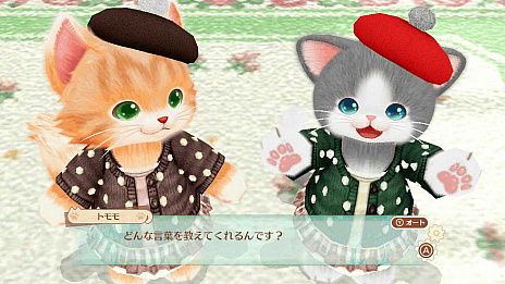 ꡼ No.006 | Switchեȡ֥ͥȥ ޥޤޤפΡȤäȥ饤ɤȡͥ222ˤǰ