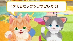 ネコ・トモ スマイルましまし