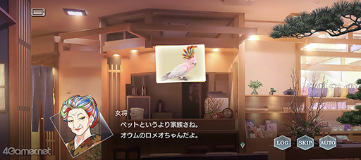 ꡼ No.003 | ֥ץȡ꡼ΤСιʬ̣廊륤٥ȡȲܺɤҲ