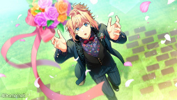 ꡼ No.026 | ֥6Υ٥ȥȡ꡼Ҳ̴Τ褦ʷ뺧򵿻θMusic and the Bridal Kiss