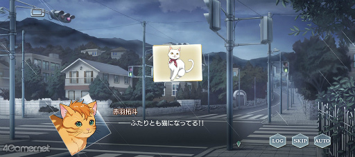 ꡼ No.006 | ֥ץ٥ȥȡ꡼Dear Little FriendsɤҲ𡣻䤿ǭˤʤäƤ!?ͤȲᤴˤȤԻ׵Ĥ2