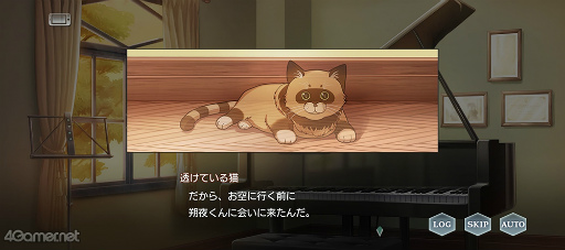 ꡼ No.016 | ֥ץ٥ȥȡ꡼Dear Little FriendsɤҲ𡣻䤿ǭˤʤäƤ!?ͤȲᤴˤȤԻ׵Ĥ2