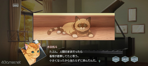 ꡼ No.018 | ֥ץ٥ȥȡ꡼Dear Little FriendsɤҲ𡣻䤿ǭˤʤäƤ!?ͤȲᤴˤȤԻ׵Ĥ2