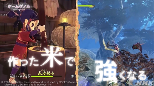 ꡼ No.010 | NHK֥ॲΥ8ŷΥʥҥ׻İݡȡȤդ뤵ȤκɤơޤˡǤϽʤ̥Ϥ줿