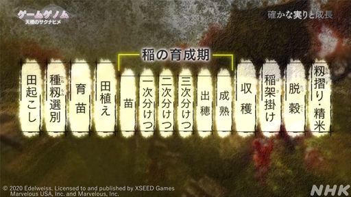 ꡼ No.013 | NHK֥ॲΥ8ŷΥʥҥ׻İݡȡȤդ뤵ȤκɤơޤˡǤϽʤ̥Ϥ줿