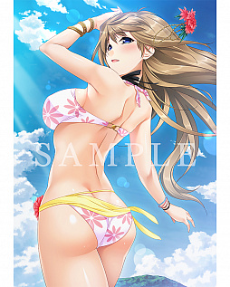 ꡼ No.006 | ֥󥭡ꥶ쥯סǤŹŵ󤬸