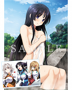 ꡼ No.008 | ֥󥭡ꥶ쥯סǤŹŵ󤬸