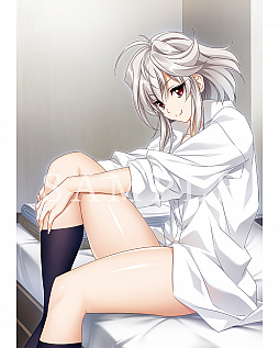 ꡼ No.009 | ֥󥭡ꥶ쥯סǤŹŵ󤬸