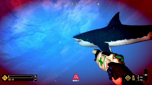 画像ギャラリー No.004のサムネイル画像 / Switch用ソフト「ディープダイビング アドベンチャー」が12月17日に配信。海中の描写や臨場感などを追求したダイビングシミュレータ