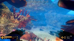 ꡼ No.001 | ֥ǥץӥ󥰥ɥ٥㡼פθȤץ33󥪥դǹǤͽ