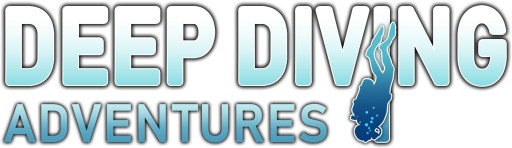 ꡼ No.006 | ֥ǥץӥ󥰥ɥ٥㡼פθȤץ33󥪥դǹǤͽ