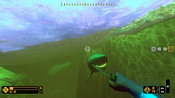 ディープダイビング アドベンチャー