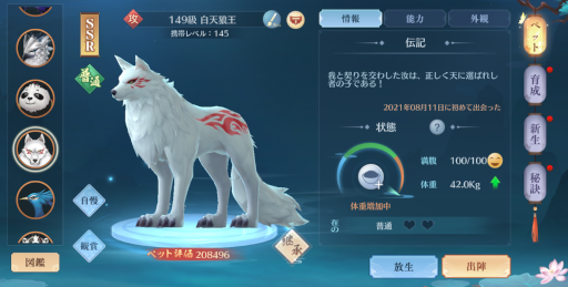 ꡼ No.005 | ֥ɡ֥쥤ɡ׿٥ȡƮɤ緿PVEǽ륢åץǡȤ»