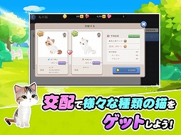 ごろごろこねこ