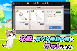 �����������ͤ�