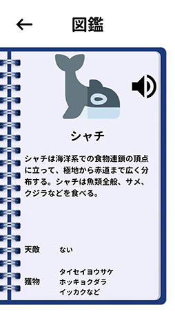 ꡼ No.010 | ưʪν롼˱ƶAndroidץ̶˥ѥפҲ𤹤֡ʤۤܡޥۥ̿2465