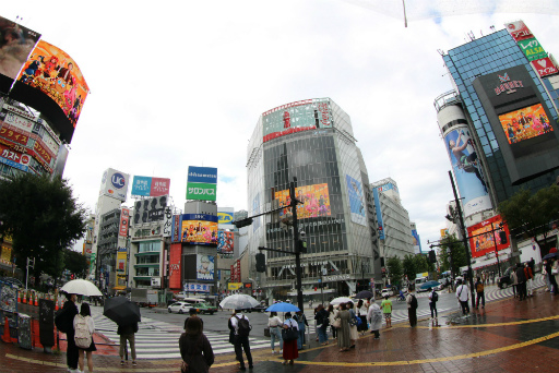 ꡼ No.003 | ֥å󡧥󥰥פΥɥȥåëޤʤɤ917ޤǱ