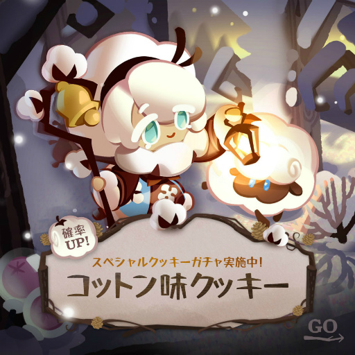 ꡼ No.003 | ֥å󡧥󥰥סƮ2ɹ㸶ɤ