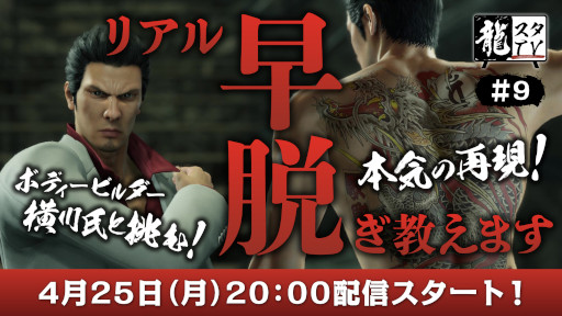 ꡼ No.002 | ζTV9425ۿءȤϥܥǥӥβδ