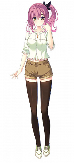 ꡼ No.013Υͥ / եȡSugar*StyleפθȤץ󡣼ʬʳȤǷ깭ɥХɥ٥㡼