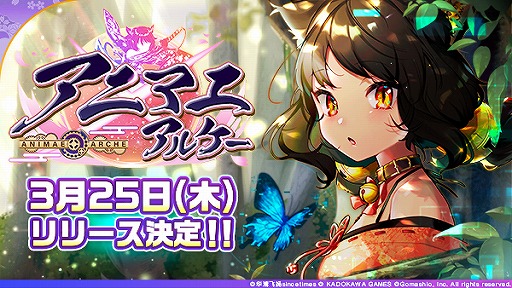 ꡼ No.003Υͥ / ץ֥˥ޥ륱פۿ325˷ꡣϿԿ10ͤã20ʤɤץ쥼