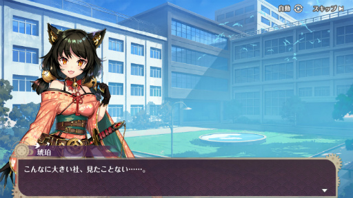 ꡼ No.007 | ֥˥ޥ륱׽饤٥ȤšSSRȡ˨ۤо