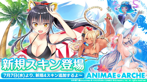 ꡼ No.013Υͥ / ֥˥ޥ륱ײƤ緿٥ȡζסɤ77ƥʥ󥹽λ곫