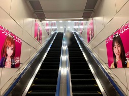 ꡼ No.003Υͥ / ֥桼͡סवѤع𤬽ոؤŸ