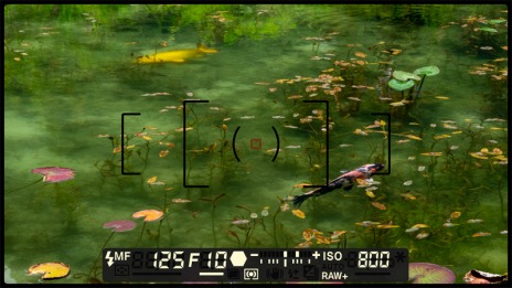 ꡼ No.049 | 赭4׿11ΥݥåȤˡإ챩硤Ƥʤɴ̾⤤Ѹ꤬̾о