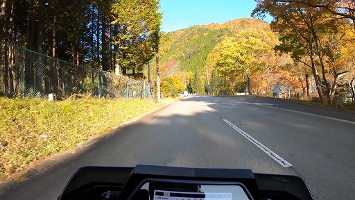 ꡼ No.001Υͥ / 赭4סȤɤιդͭ̾ʡȤ餮ƻɤηʿϿǰ