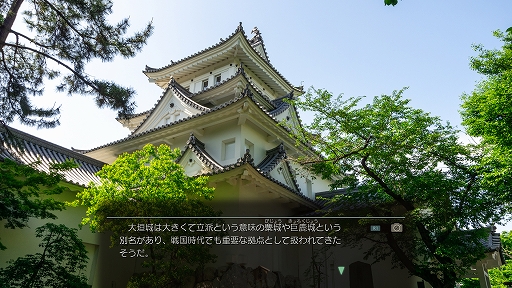 ꡼ No.002Υͥ / 赭4סȤɤιդͭ̾ʡȤ餮ƻɤηʿϿǰ