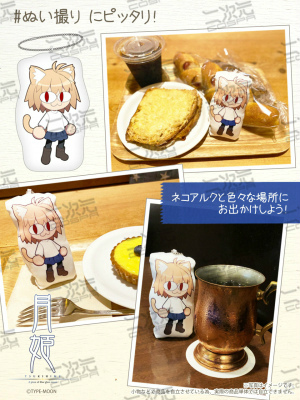 ���������꡼ No.003�Υ���ͥ������ / ���ߥ�100�ǡַ�ɱ�ץ��륯ξ�̥ե륰��T����Ĥʤɤ�����