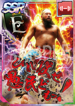 ꡼ No.005 | ֿSSס󥭥󥰥٥ȡȲκǶ쥹顼󥭥 Vol.2ɤ򳫺