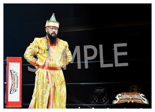 ꡼ No.007 | ֿSSס󥭥󥰥٥ȡȲκǶ쥹顼󥭥 Vol.2ɤ򳫺