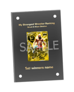 ꡼ No.009 | ֿSSס󥭥󥰥٥ȡȲκǶ쥹顼󥭥 Vol.2ɤ򳫺