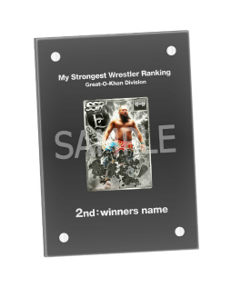 ꡼ No.010 | ֿSSס󥭥󥰥٥ȡȲκǶ쥹顼󥭥 Vol.2ɤ򳫺