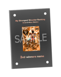 ꡼ No.011 | ֿSSס󥭥󥰥٥ȡȲκǶ쥹顼󥭥 Vol.2ɤ򳫺