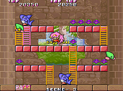 ���������ɥ��������֥� ����ʪ����åɡ�����