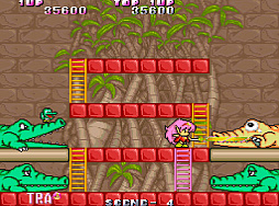 ���������ɥ��������֥� ����ʪ����åɡ�����