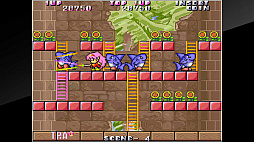 ���������ɥ��������֥� ����ʪ����åɡ�����