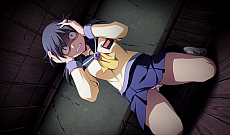 ꡼ No.015 | PS4/Switchǡ֥ץѡƥ ֥åɥС ԡƥåɥեפۿȴƹ쥹ȥɤȤΥܤ2021ǯդ˼»