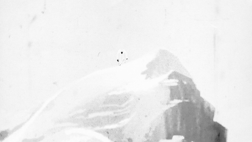 ꡼ No.003Υͥ / ϲ ե󥱥󥷥奿ϤꤷΡפΥץ⡼ӥǥ