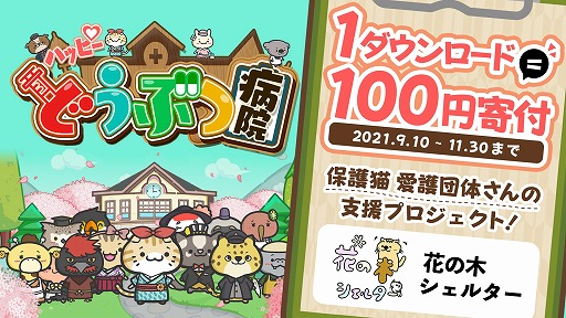 ꡼ No.002 | ֥ϥåԡɤ֤±פ30DLã1DLˤĤ100ߤǭݸư˴դץȤư