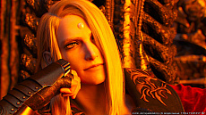 ꡼ No.009 | ֥եʥե󥿥XIV: ǷΥեʡפ꡼塣ƥࡼӡ