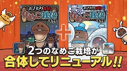 ꡼ No.005 | ָĤʤᤳݥåȡפ630˥꡼