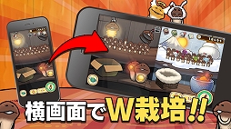 ꡼ No.006 | ָĤʤᤳݥåȡפ630˥꡼