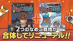 ꡼ No.005 | ʤᤳݥå10ǯǰץָ ʤᤳݥåȡפۿϡ2ܤΡ˥塼뤷