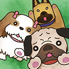 �ѥå�����