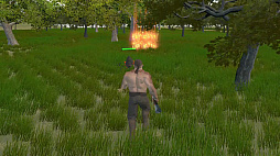 Pirate of Madagascar Island